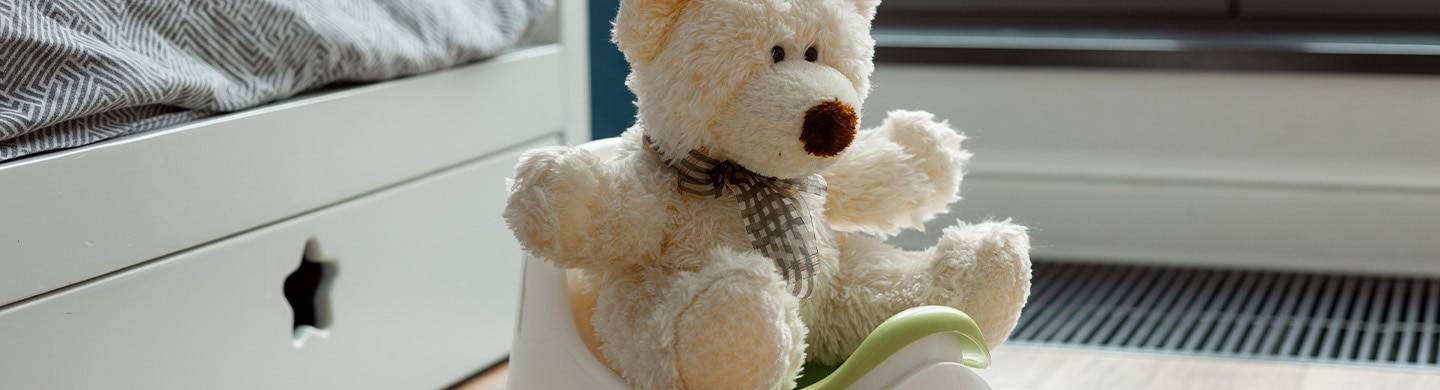 Oso de peluche