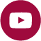 Logo Youtube