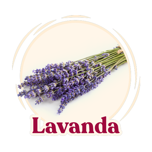 ingrediente-lavanda