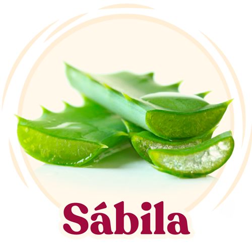 ingrediente-sabila